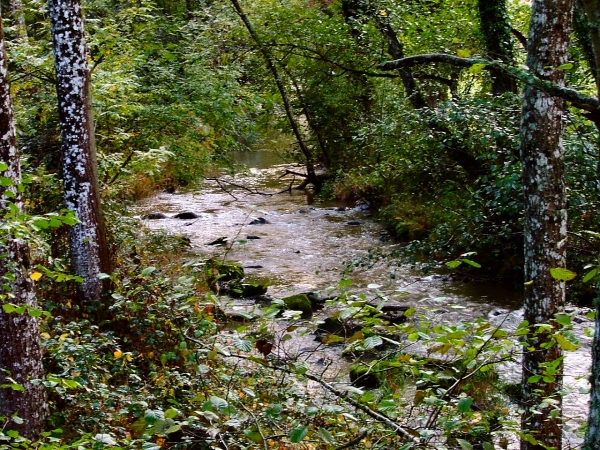 Bagnoles de l'Orne...
