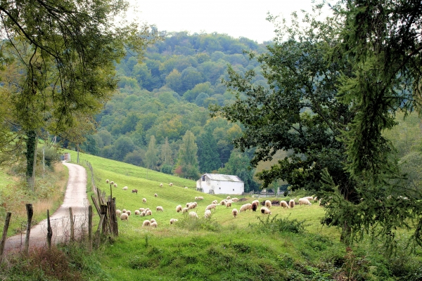 Mon Nouveau Pays...