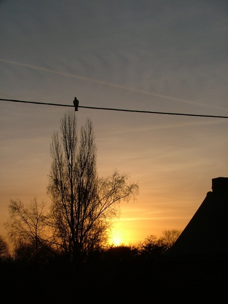 Bretagne, Rennes...