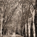 En chemin, au retour vers la Normandie...